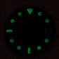 Dial maker - Matt black panther dial  with silver leaf